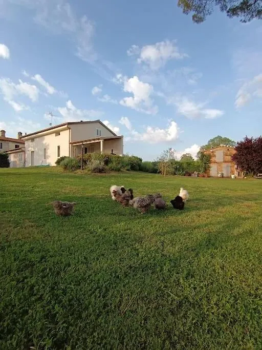 Il Nido Apartment Certaldo